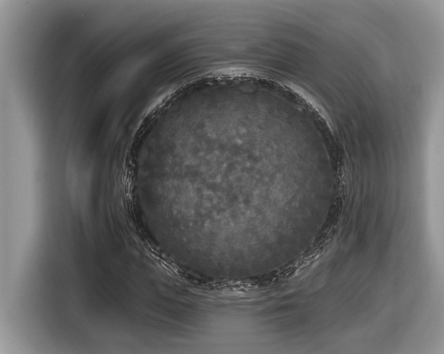X0000116430823200912081522