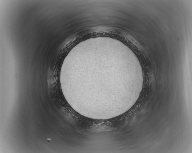 X0000116430824200912081522
