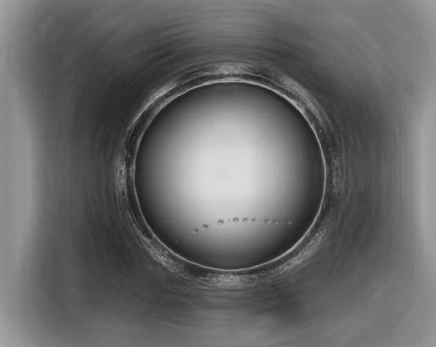 X0000116430827200912081522