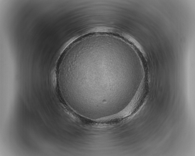X0000116430829200912081522