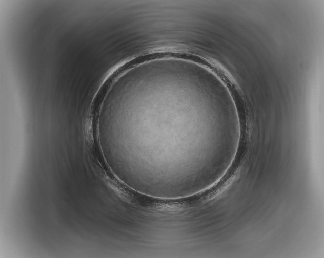 X0000116430830200912081522