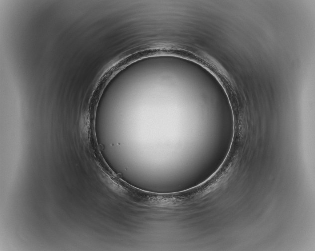 X0000116430831200912081522