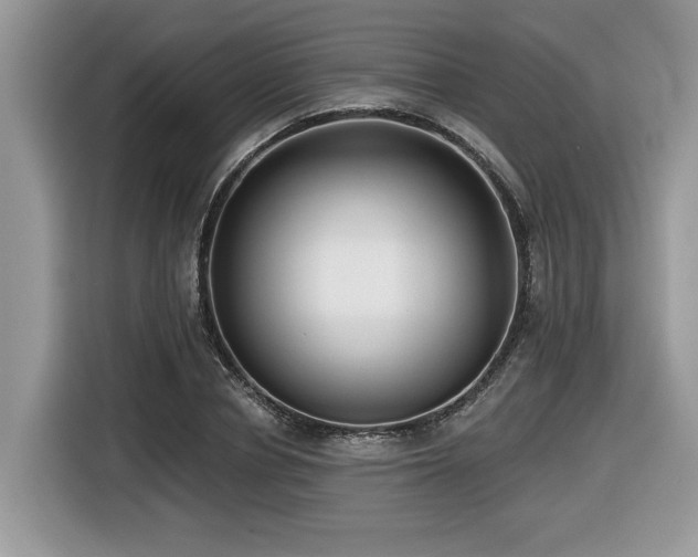 X0000116430834200912081522