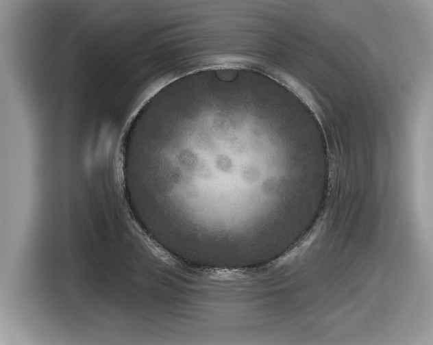 X0000116430835200912081522