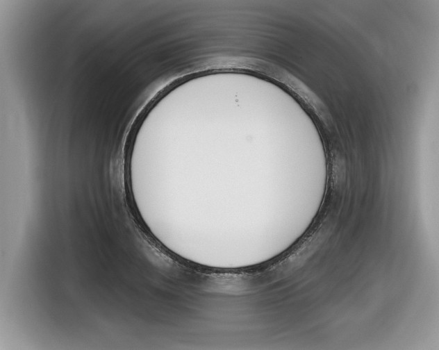 X0000116430836200912081522