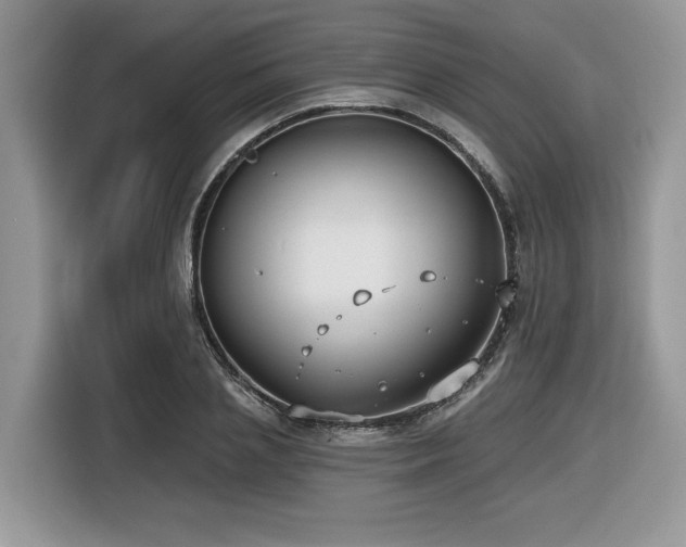 X0000116430837200912081522