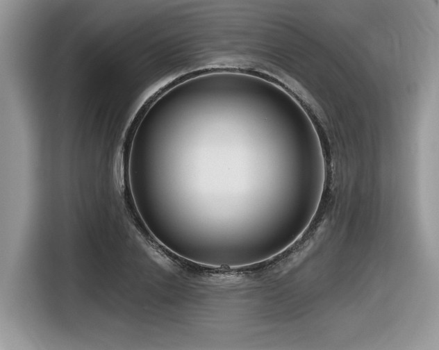 X0000116430838200912081522