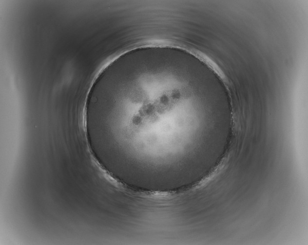 X0000116430839200912081522