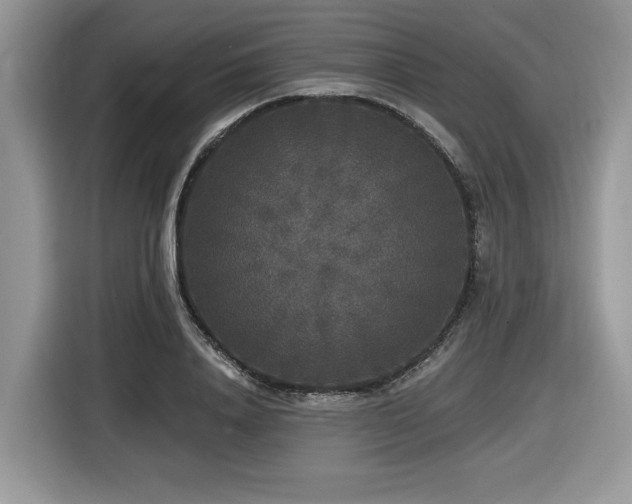 X0000116430840200912081522