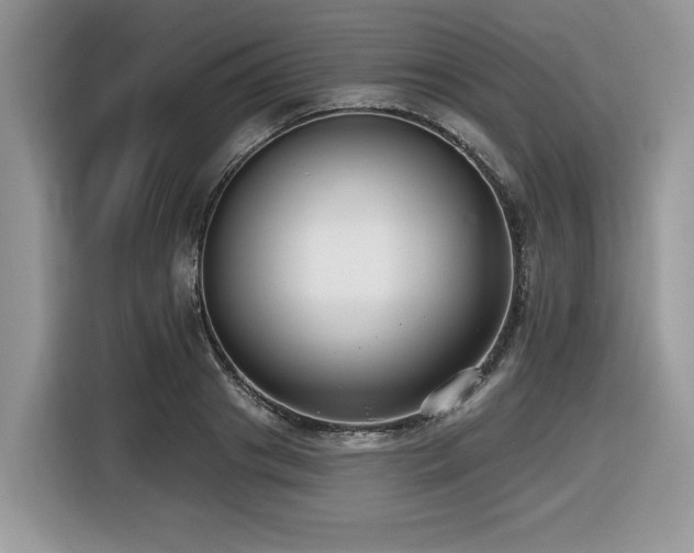 X0000116430841200912081522