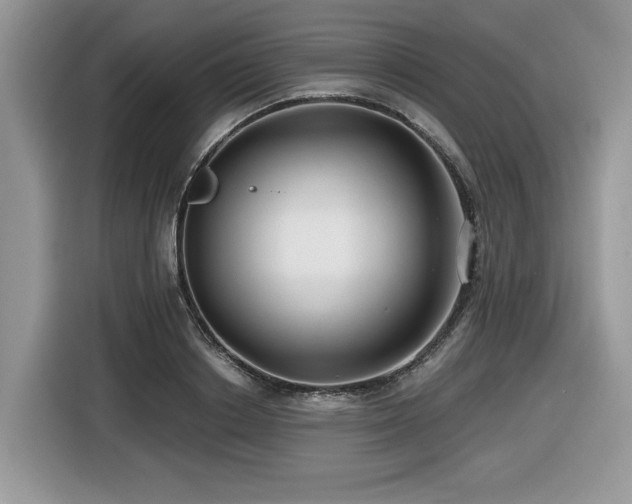 X0000116430842200912081522