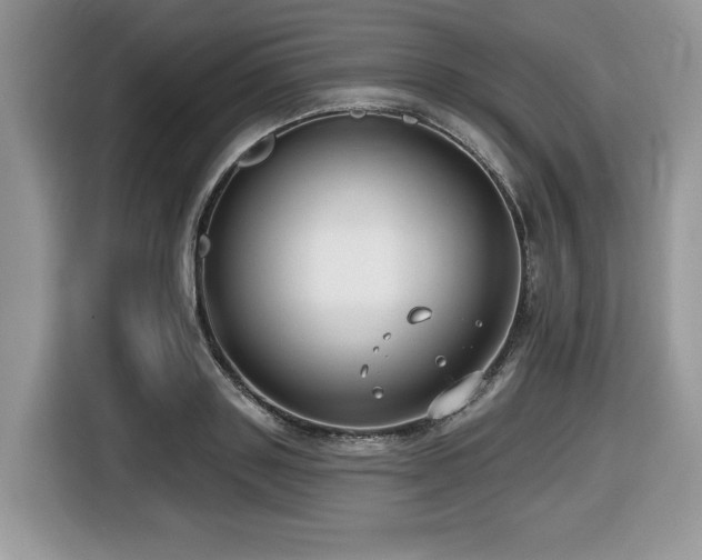 X0000116430843200912081522