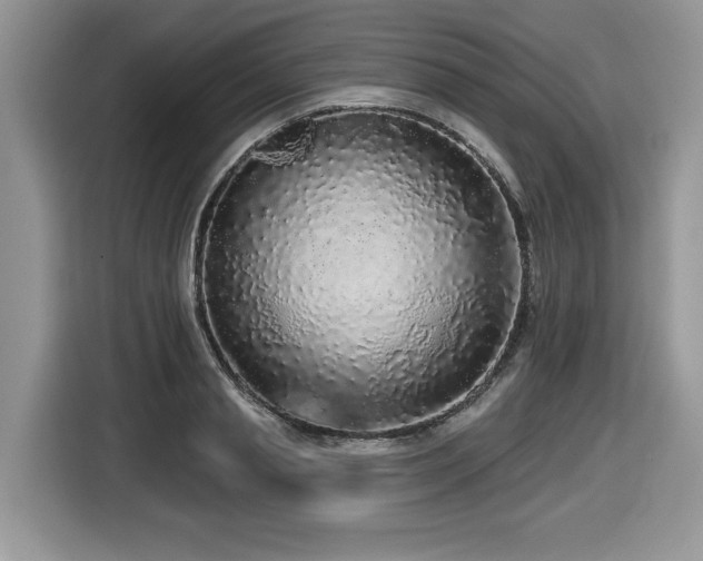 X0000116430845200912081522