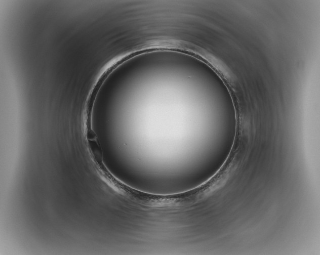 X0000116430846200912081522