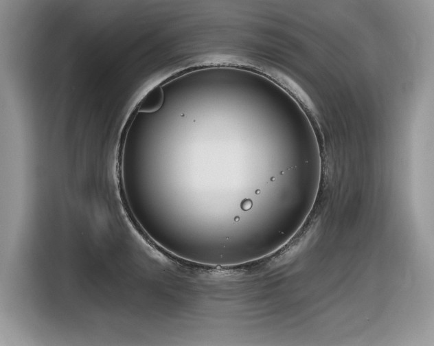 X0000116430847200912081522