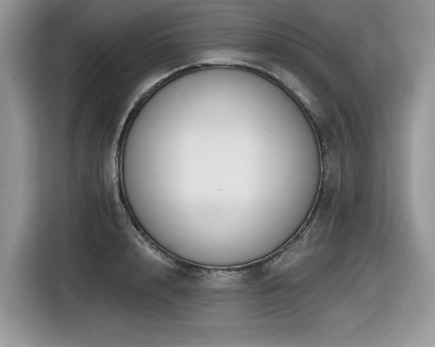 X0000116430848200912081522