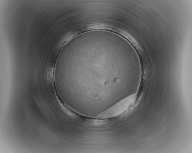 X0000116430849200912081522
