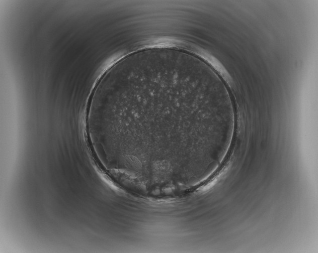 X0000116430850200912081523