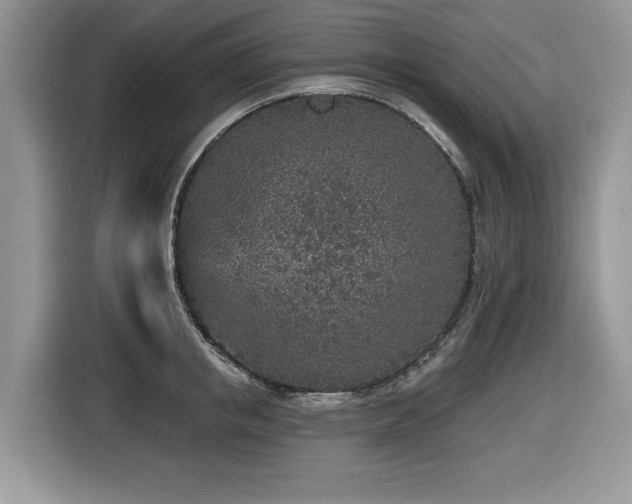X0000116430853200912081523