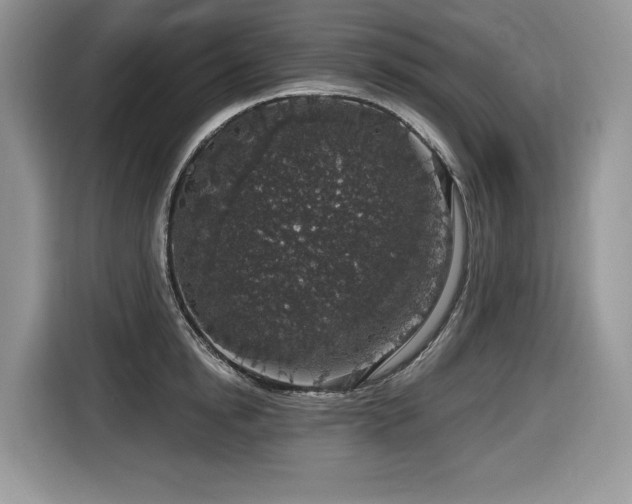 X0000116430854200912081523