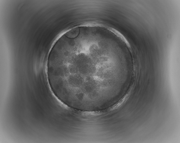 X0000116430855200912081523