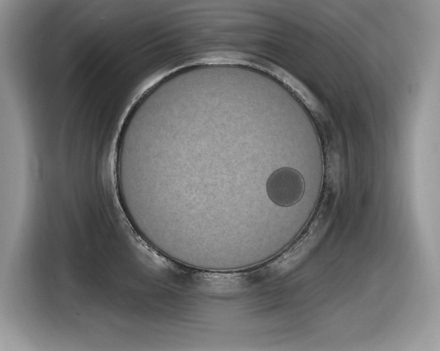X0000116430856200912081523
