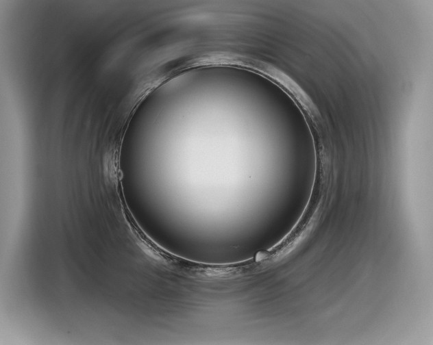 X0000116430857200912081523