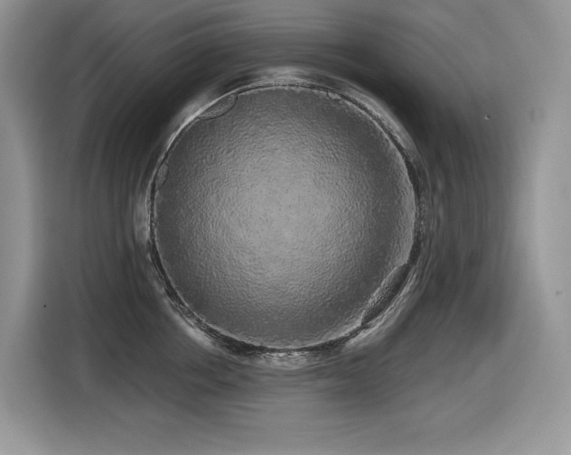 X0000116430858200912081523