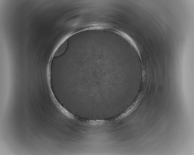X0000116430859200912081523