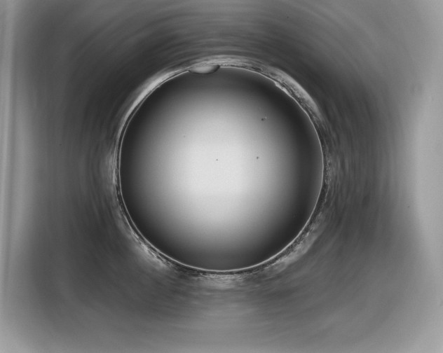 X0000116430860200912081523