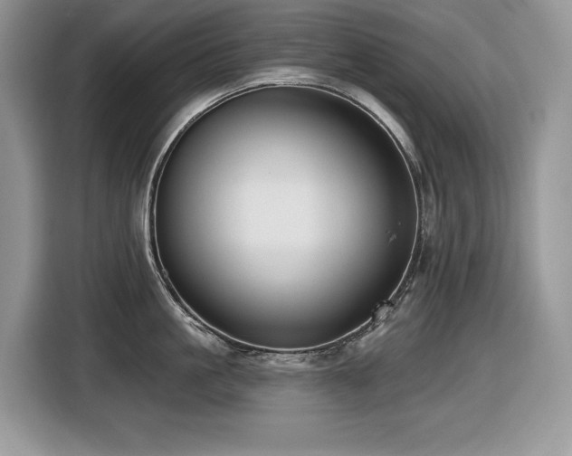 X0000116430861200912081523