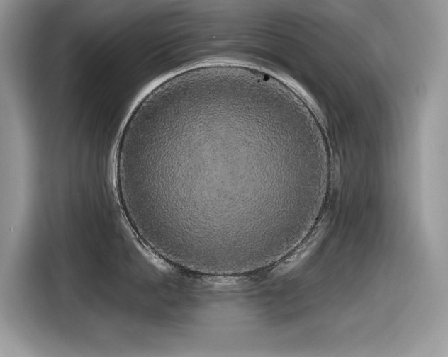 X0000116430862200912081523