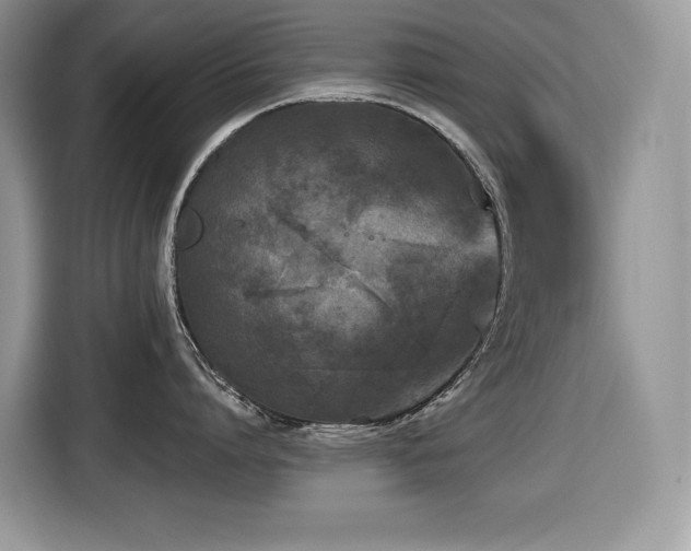 X0000116430864200912081523