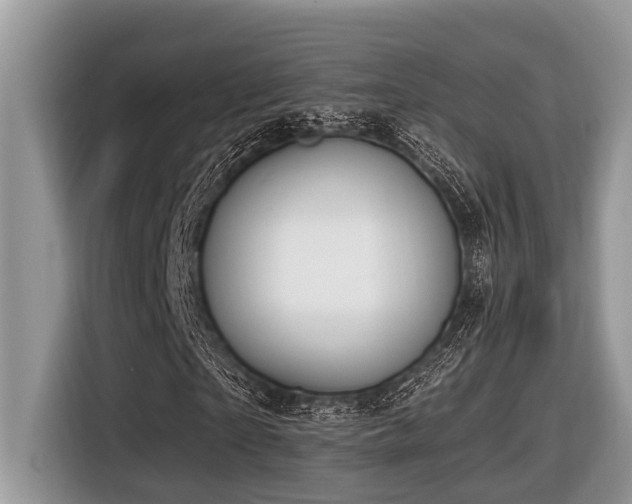 X0000116430865200912081522