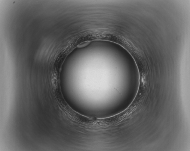 X0000116430867200912081522