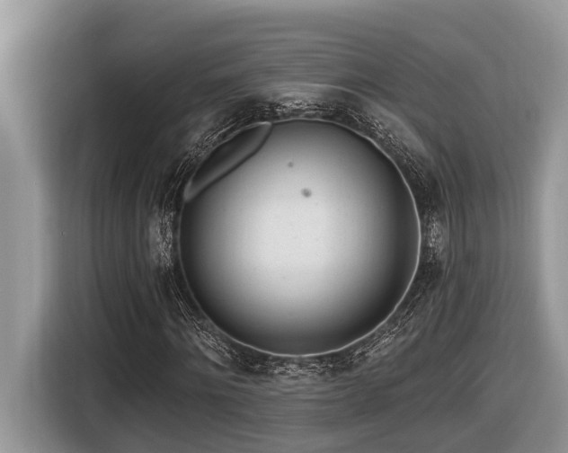 X0000116430868200912081522