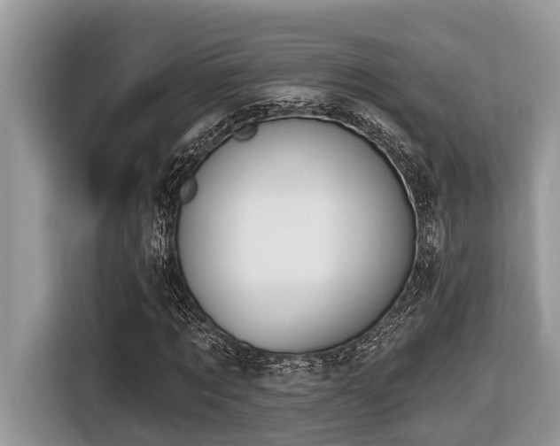 X0000116430869200912081522