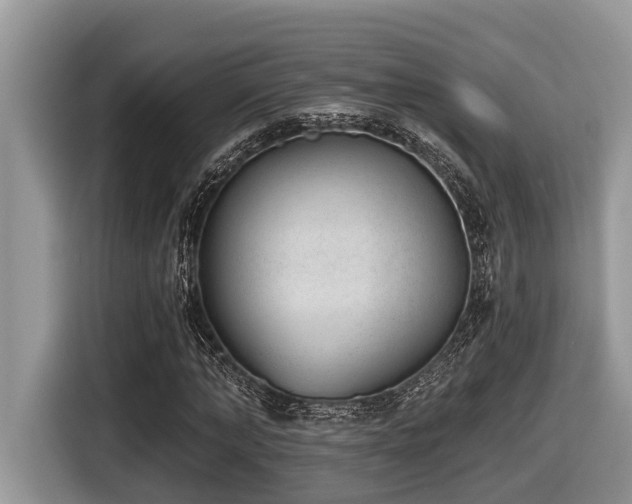 X0000116430870200912081522