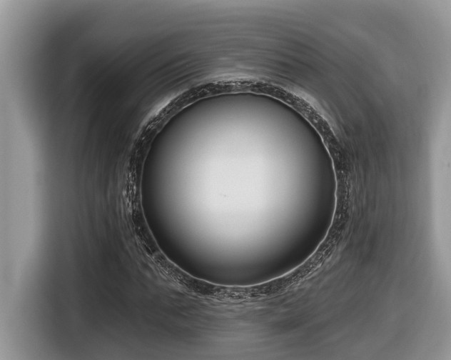 X0000116430871200912081522