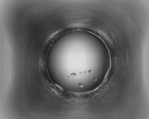 X0000116430872200912081522