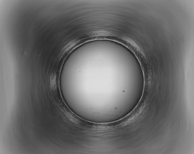 X0000116430873200912081522