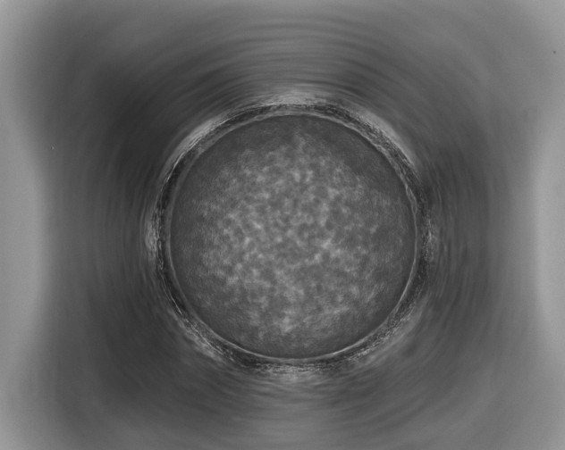 X0000116430874200912081522