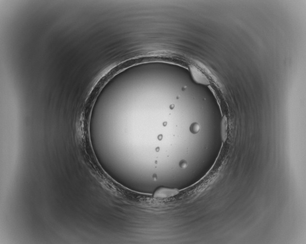 X0000116430875200912081522