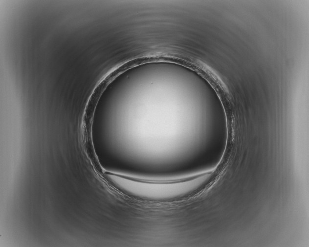 X0000116430876200912081522