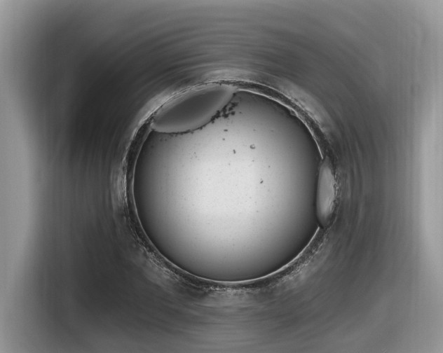 X0000116430877200912081522