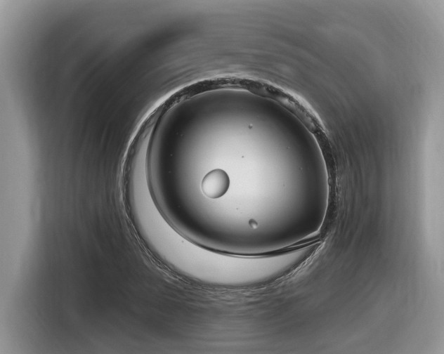 X0000116430879200912081522