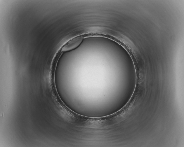 X0000116430880200912081522