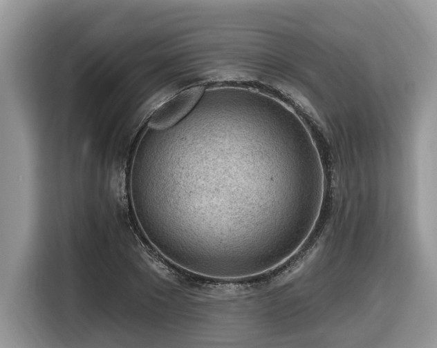 X0000116430881200912081522