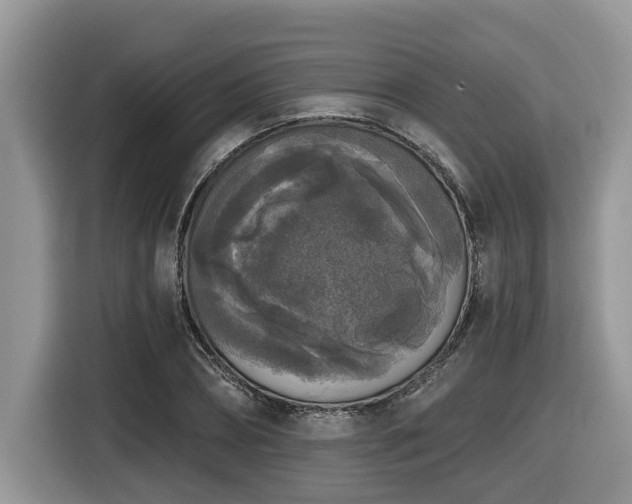 X0000116430882200912081522