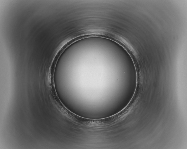 X0000116430883200912081522